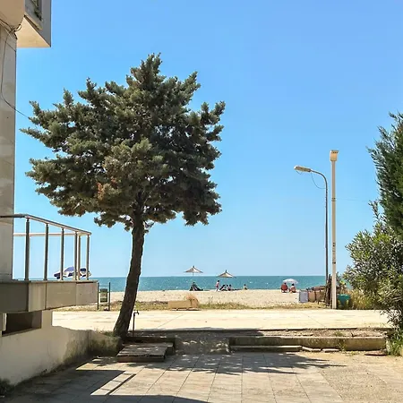 Popular 1034 Durrës